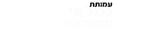 דף הבית