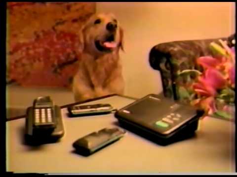 244