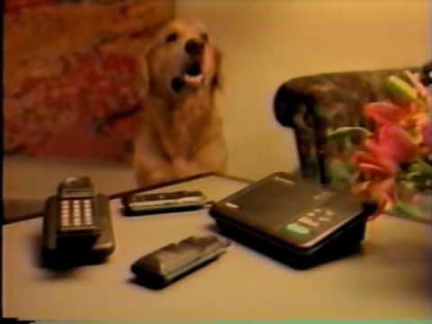 335